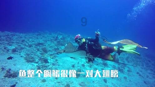 解密清美广西分数线2023,发现更多问题答案!